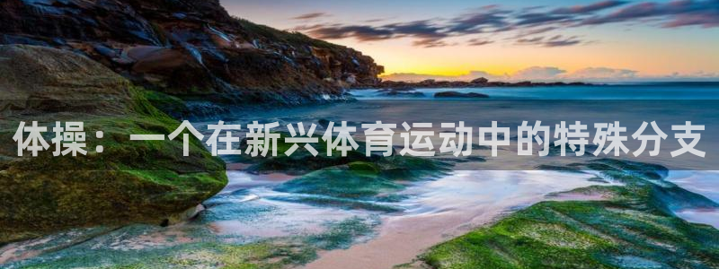 三亿体育登录
