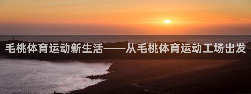 三亿体育