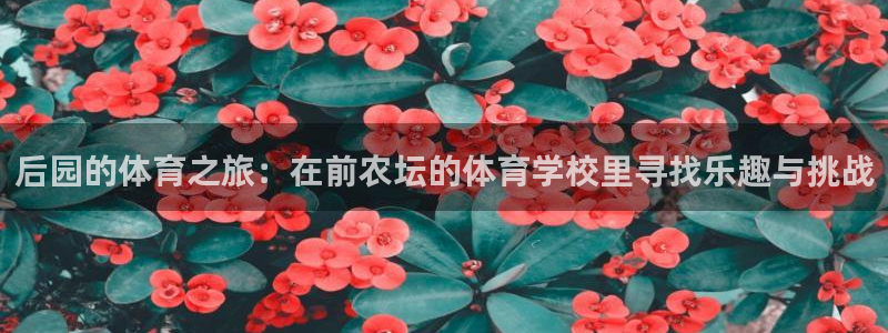 三亿体育网页版