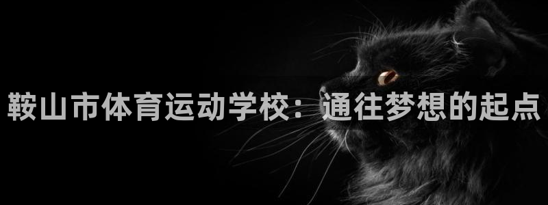 三亿体育网