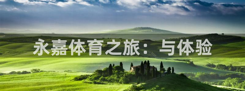 三亿体育网