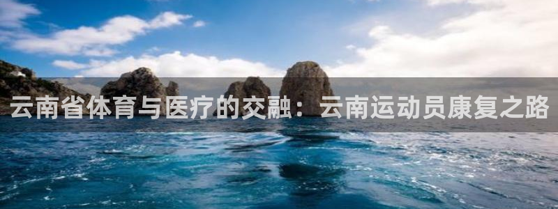 三亿体育网