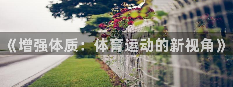 三亿体育网