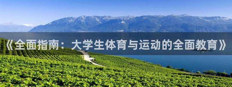 三亿体育网
