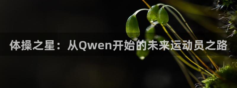 三亿体育登录