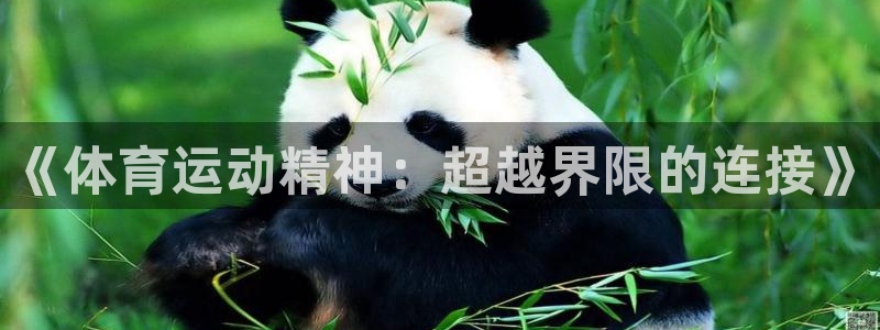 三亿体育网