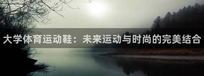 三亿体育网页版