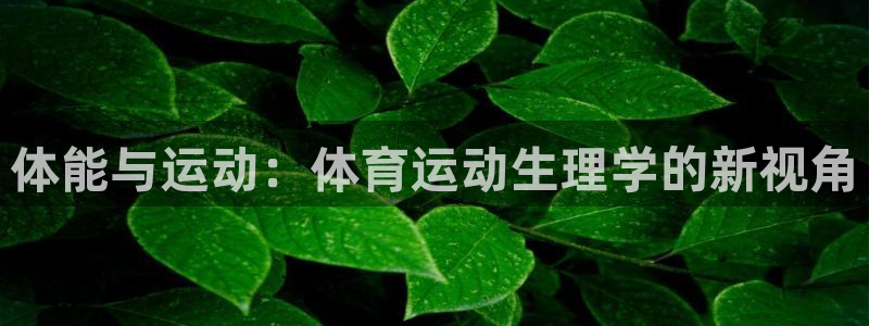 三亿体育网
