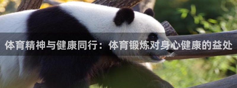 三亿体育网页版