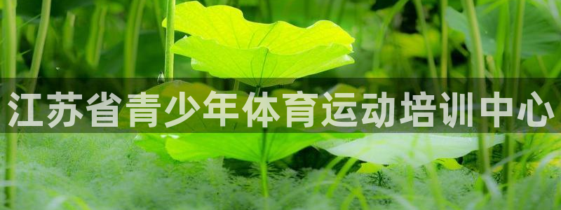 三亿体育网