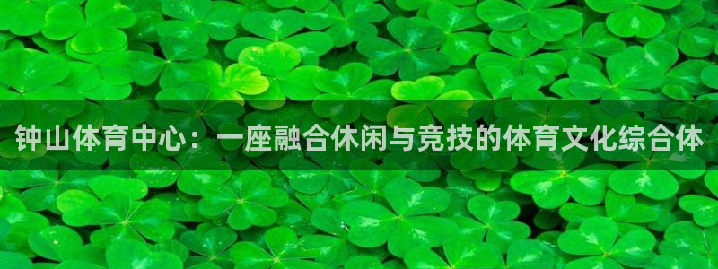三亿体育网页版