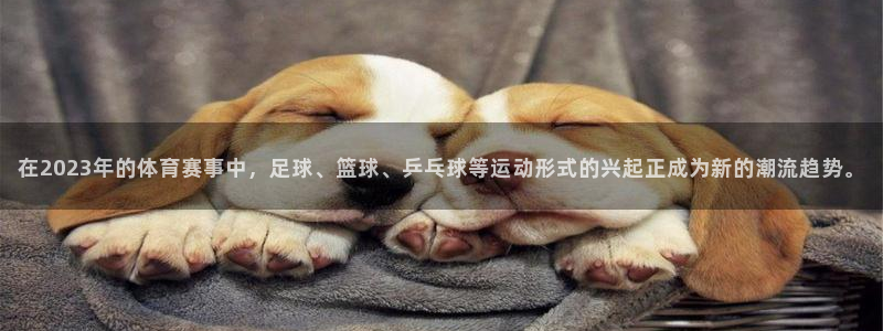 三亿体育